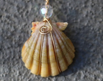 Sunrise Shell Necklace, Sunrise Shell Jewelry, Sunrise Shell, Moonrise Shell, Moonrise Shell Necklace, Hawaiian Sunrise Shell, Beach Gift