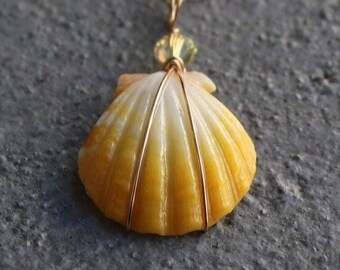 Sunrise Shell Necklace, Sunrise Shell Jewelry, Sunrise Shell Pendant, Hawaiian Sunrise Shell, Hawaii Shell Necklace, Beach Gift, Surfer Gift