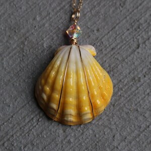 Sunrise Shell Necklace, Sunrise Shell Jewelry, Sunrise Shell Pendant, Hawaiian Sunrise Shell, Hawaii Shell Necklace, Beach Gift, Surfer Gift image 1