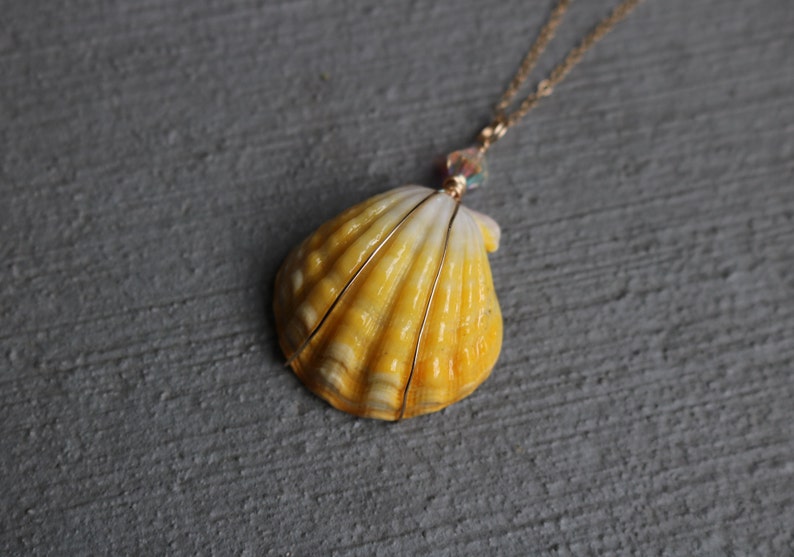 Sunrise Shell Necklace, Sunrise Shell Jewelry, Sunrise Shell Pendant, Hawaiian Sunrise Shell, Hawaii Shell Necklace, Beach Gift, Surfer Gift image 3