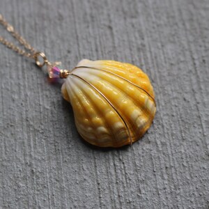 Sunrise Shell Necklace, Sunrise Shell Jewelry, Sunrise Shell Pendant, Hawaiian Sunrise Shell, Hawaii Shell Necklace, Beach Gift, Surfer Gift image 6