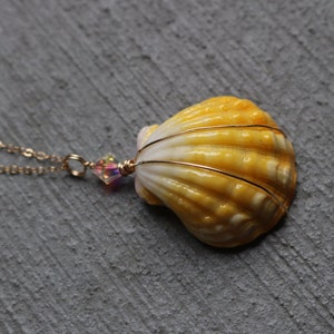 Sunrise Shell Necklace, Sunrise Shell Jewelry, Sunrise Shell Pendant, Hawaiian Sunrise Shell, Hawaii Shell Necklace, Beach Gift, Surfer Gift image 4