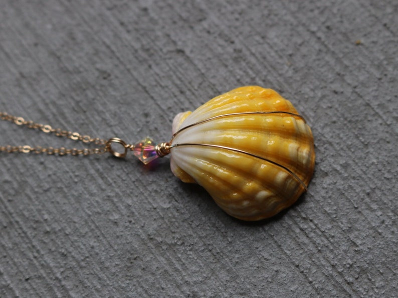 Sunrise Shell Necklace, Sunrise Shell Jewelry, Sunrise Shell Pendant, Hawaiian Sunrise Shell, Hawaii Shell Necklace, Beach Gift, Surfer Gift image 4