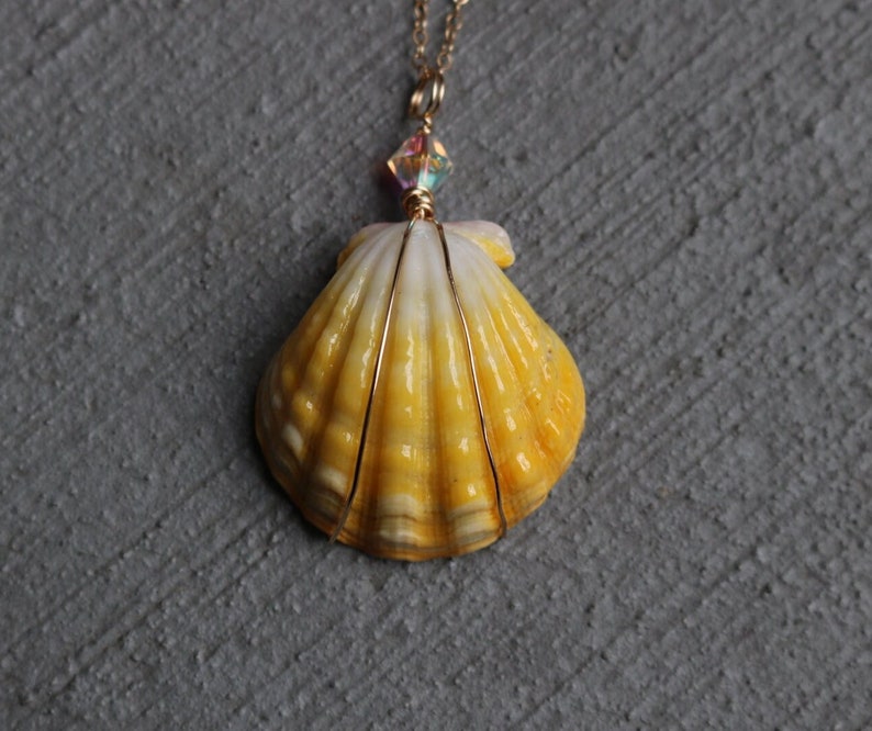 Sunrise Shell Necklace, Sunrise Shell Jewelry, Sunrise Shell Pendant, Hawaiian Sunrise Shell, Hawaii Shell Necklace, Beach Gift, Surfer Gift image 1