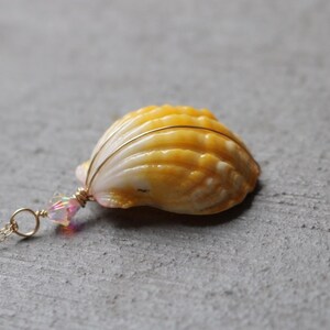 Sunrise Shell Necklace, Sunrise Shell Jewelry, Sunrise Shell Pendant, Hawaiian Sunrise Shell, Hawaii Shell Necklace, Beach Gift, Surfer Gift image 8