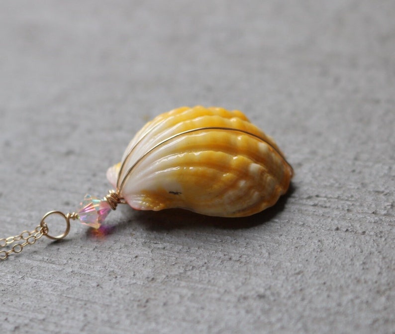 Sunrise Shell Necklace, Sunrise Shell Jewelry, Sunrise Shell Pendant, Hawaiian Sunrise Shell, Hawaii Shell Necklace, Beach Gift, Surfer Gift image 8