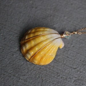 Sunrise Shell Necklace, Sunrise Shell Jewelry, Sunrise Shell Pendant, Hawaiian Sunrise Shell, Hawaii Shell Necklace, Beach Gift, Surfer Gift image 5