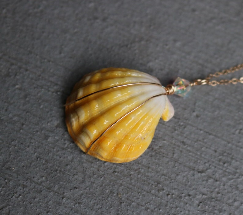 Sunrise Shell Necklace, Sunrise Shell Jewelry, Sunrise Shell Pendant, Hawaiian Sunrise Shell, Hawaii Shell Necklace, Beach Gift, Surfer Gift image 5