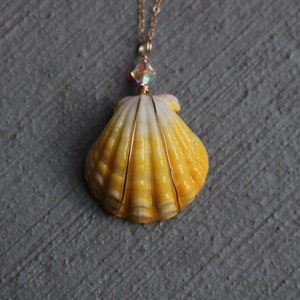 Sunrise Shell Necklace, Sunrise Shell Jewelry, Sunrise Shell Pendant, Hawaiian Sunrise Shell, Hawaii Shell Necklace, Beach Gift, Surfer Gift image 2