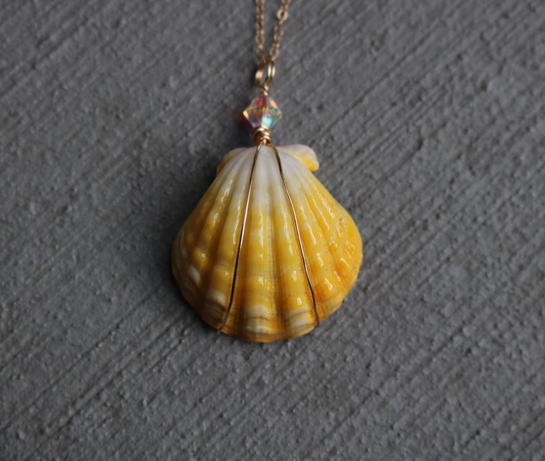 Sunrise Shell Necklace, Sunrise Shell Jewelry, Sunrise Shell Pendant, Hawaiian Sunrise Shell, Hawaii Shell Necklace, Beach Gift, Surfer Gift image 2