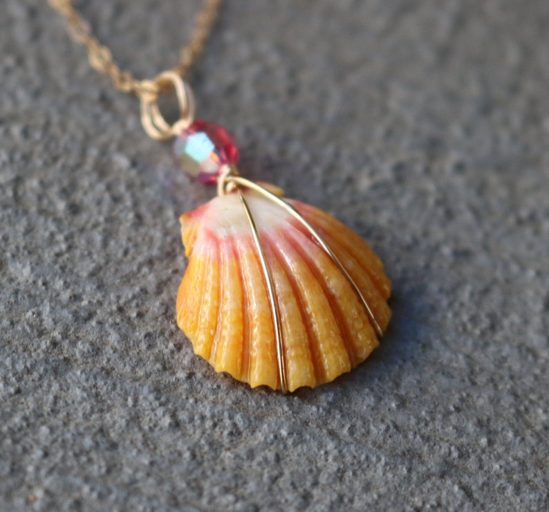 Sunrise Shell Necklace Sunrise Shell Jewelry Sunrise Shell Etsy