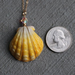 Sunrise Shell Necklace, Sunrise Shell Jewelry, Sunrise Shell Pendant, Hawaiian Sunrise Shell, Hawaii Shell Necklace, Beach Gift, Surfer Gift image 9