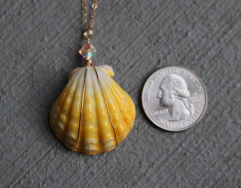 Sunrise Shell Necklace, Sunrise Shell Jewelry, Sunrise Shell Pendant, Hawaiian Sunrise Shell, Hawaii Shell Necklace, Beach Gift, Surfer Gift image 9