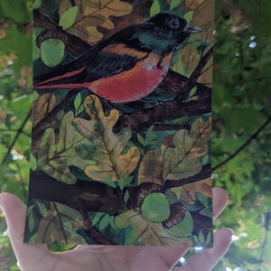 Impression d'oiseaux d'automne | illustration | impression | Carte postale