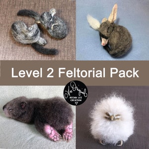 Needle Felting Tutorial PACK, Level 2; Phascogale, Bilby, Wombat, Tawny Frogmouth
