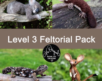 Needle Felting Tutorial PACK, Level 3; Koala, Platypus, Shingleback, Hopping Mouse