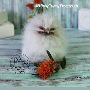 Needle Felting Tutorial Baby Tawny Frogmouth