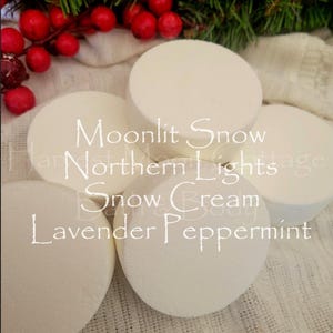 Winter Shower Steamers Pack of 2