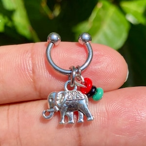 Elephant cartilage, helix, conch, earlobe earring
