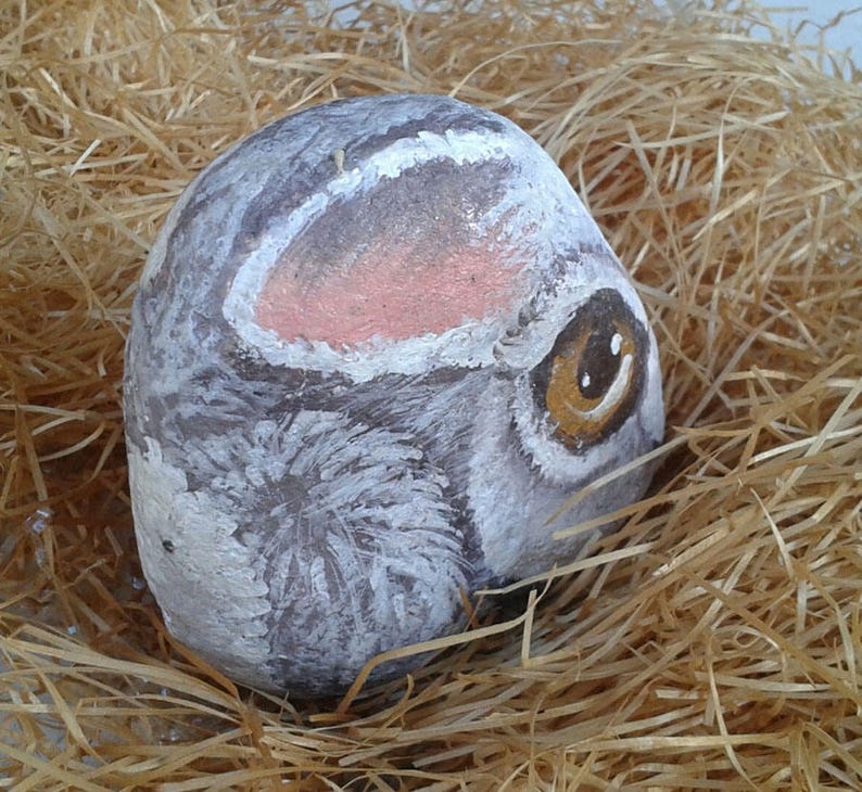 Bunny Painted on River Stone Etsy
