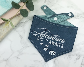 Adventure Awaits Reversible Dog Bandana