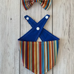 Handmade Dog Bow Tie in Bright Blue and Orange Summer Stripe image 7