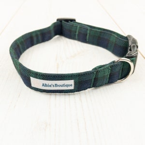 Striking navy and green tartan Dog Collar