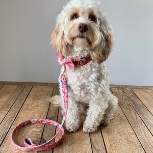 May include: A fluffy white and tan dog wearing a pink floral collar and bow tie, with a matching leash. The collar and leash feature a repeating pattern of pink and blue flowers. The dog is sitting on a wooden surface.