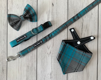 Dog Collar and Lead in a fabulous turquoise and grey tartan fabric  / dog collar and lead set