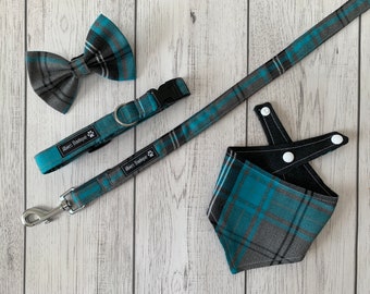 Dog Collar and Lead in a fabulous turquoise and grey tartan fabric  / dog collar and lead set