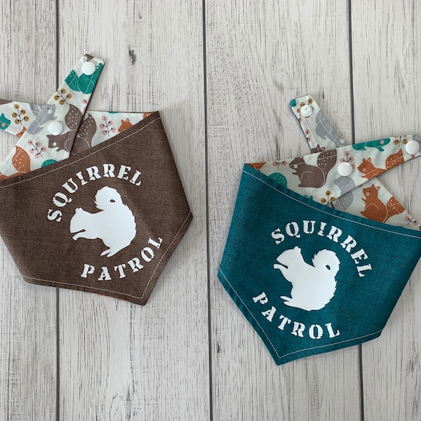 Squirrel Patrol Dog Bandana in Teal and Brown