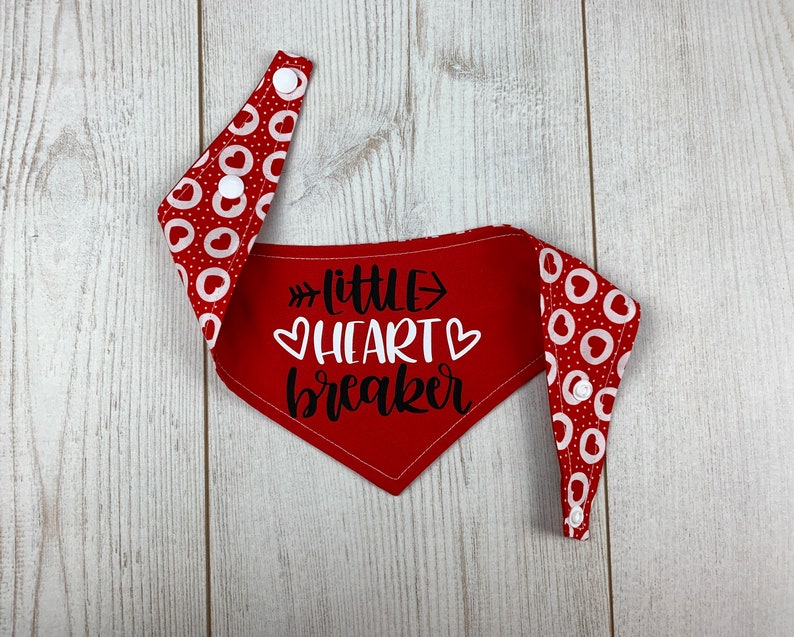 Double sided Little Heart Breaker Valentines Dog Bandana image 8