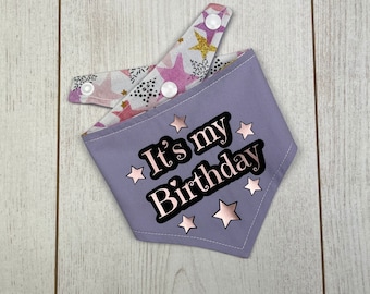 Birthday Dog Bandana in a pastel purple and multicoloured Stars fabric