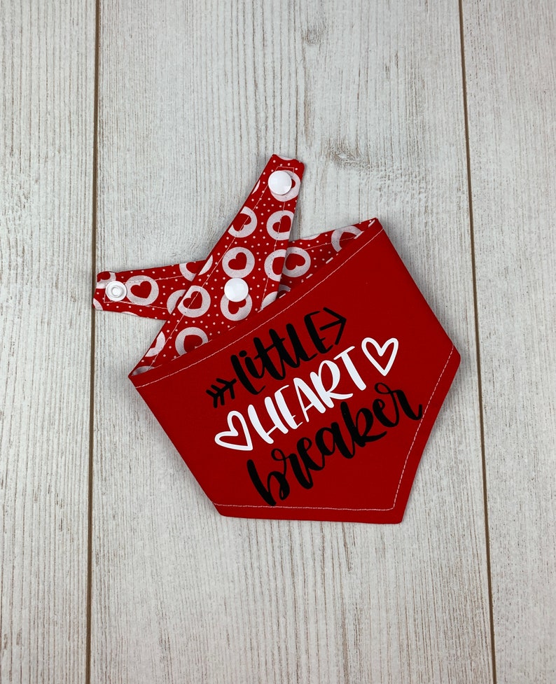 Double sided Little Heart Breaker Valentines Dog Bandana image 7