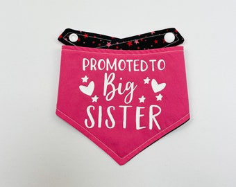 Big Sister Dog Bandana | Promoted to Big Sister | Baby announcement Dog Bandana