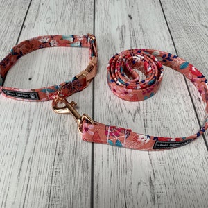 May include: A dog collar and leash set with a floral pattern in shades of peach, pink, and blue. The collar has a rose gold buckle, and the leash has a matching rose gold clasp. The set is from Albies Boutique.