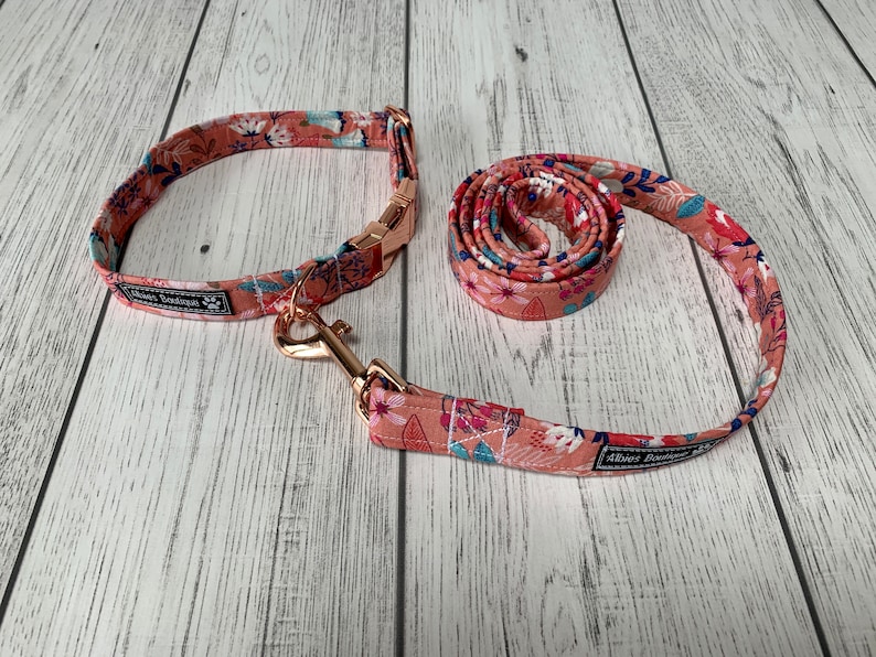 May include: A dog collar and leash set with a floral pattern in shades of peach, pink, and blue. The collar has a rose gold buckle, and the leash has a matching rose gold clasp. The set is from Albies Boutique.
