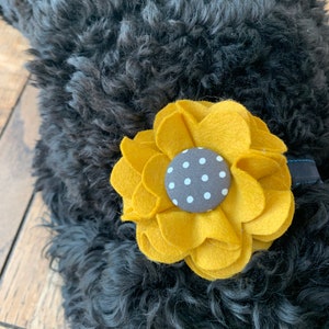 Grey Dog Collar Flower in a wool felt fabric image 6