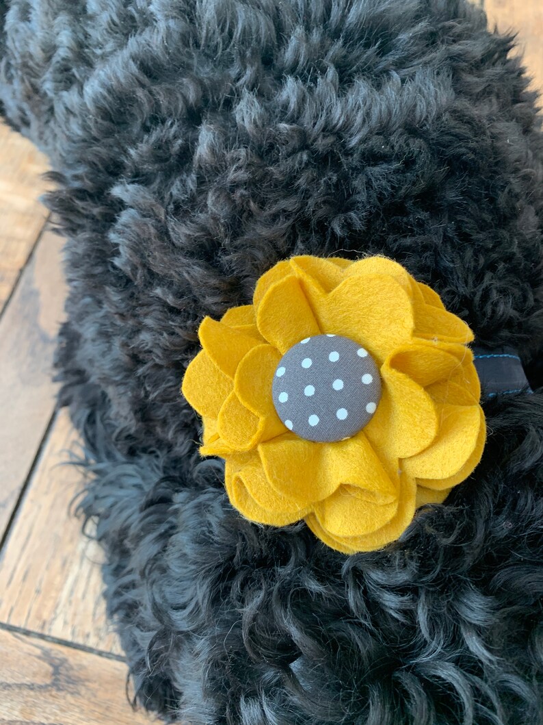 Grey Dog Collar Flower in a wool felt fabric image 6