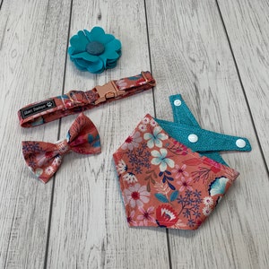 May include: A floral dog collar, bow tie, and bandana set in shades of coral, blue, and white. A matching teal felt flower is also included. The collar has a rose gold buckle and the brand name "Albies Boutique" printed on it.