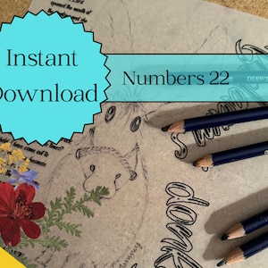 Bible Art Journaling Lesson: BALAAM&#39;S TALKING DONKEY