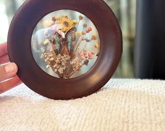 Vintage Brazil Butterfly Specimen Wall Art, Dunston Dried Flower Frame