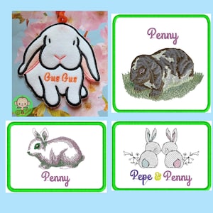 Personalized Bunny/Rabbit Pet Cage/Carrier ID Name Tags