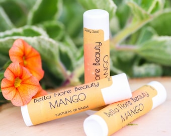 Mango Lip Balm – Natural Moisturizing Chapstick for Dry Lips – Handmade Lip Care – Cruelty Free Lip Balm – 0.15 oz Tube