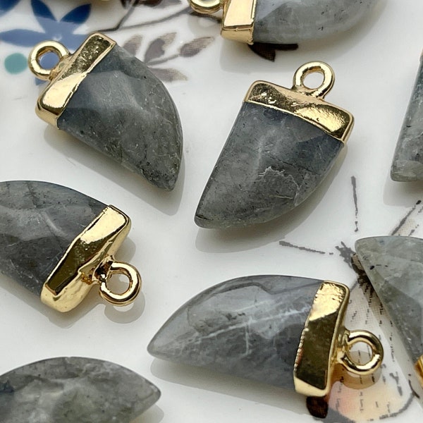 Gemstone Shark Tooth Horn Shape Charms for Necklace, Jade Lapis Labradorite Gemstone Pendant for Jewelry Making, 10x20 mm, One Piece #CR0051