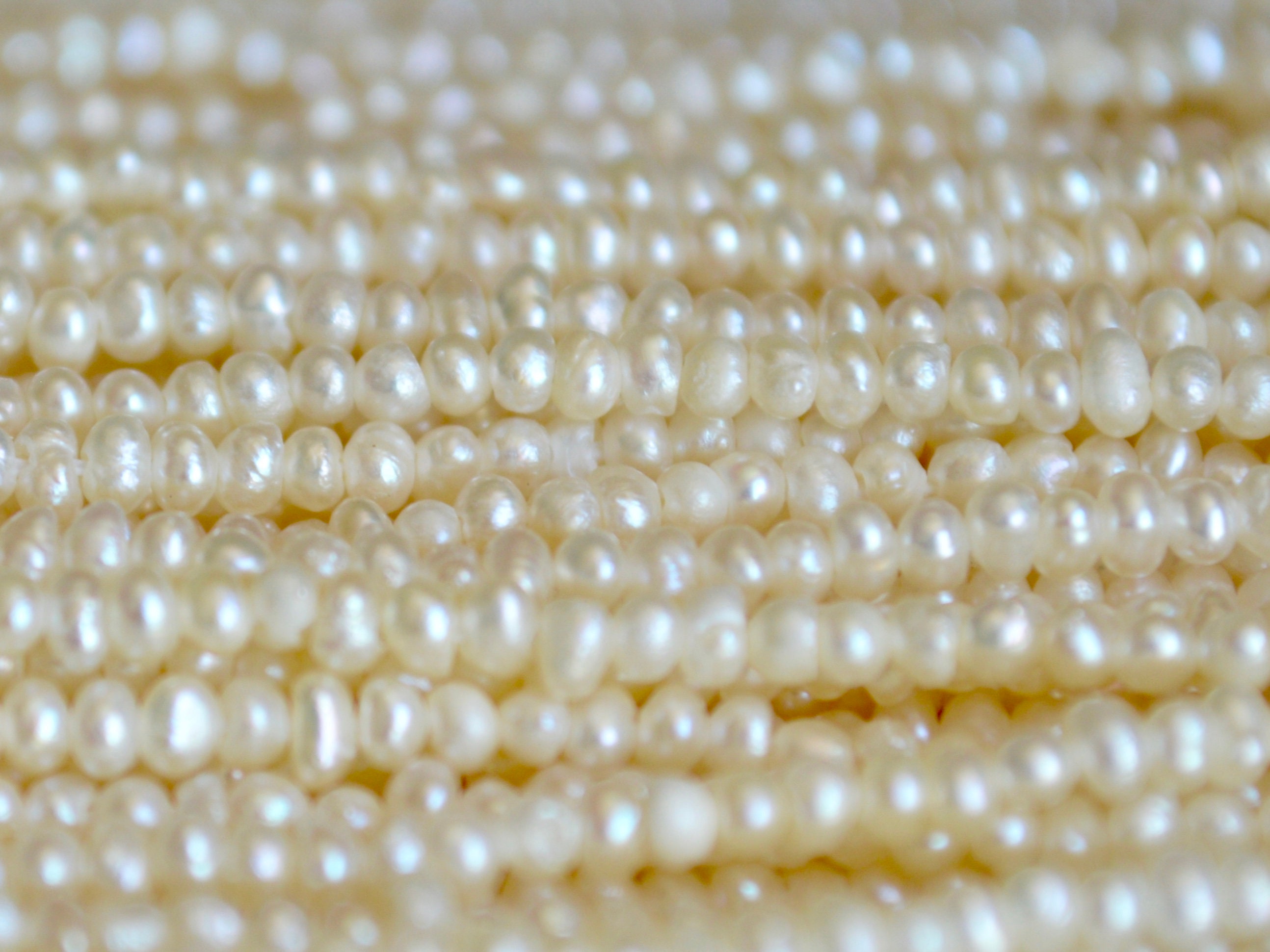 1.5-2mm High Quality Grade A Natural Freshwater Potato Pearl Beads White Small  Pearl 15.7 Strand PB992 