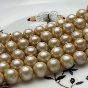 9-10 mm AAA Beige Champagne Off Round Freshwater Pearl Beads Genuine Cultured Pearl Beads Light Champagne Freshwater Pearl Beads #563