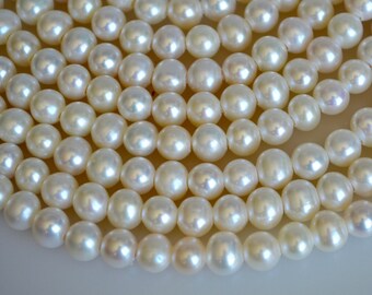 May include: Close-up of lustrous, creamy white pearls arranged in neat rows. The pearls have a smooth, round shape and a subtle sheen, reflecting light. The image showcases the natural beauty and elegance of the pearls.