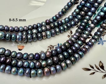 8.5-10 mm AA Half Strand Rainbow Peacock Button/Rondelle Freshwater Pearls Large Hole Size 2.2mm  #P3837