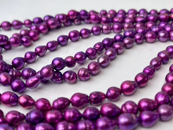 Quali Sono Le Specie Di Tartaruga D'acqua Dolce - Foto 4